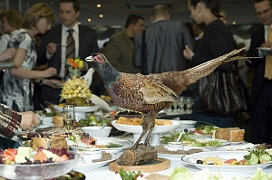 VI ��������� �������� ������